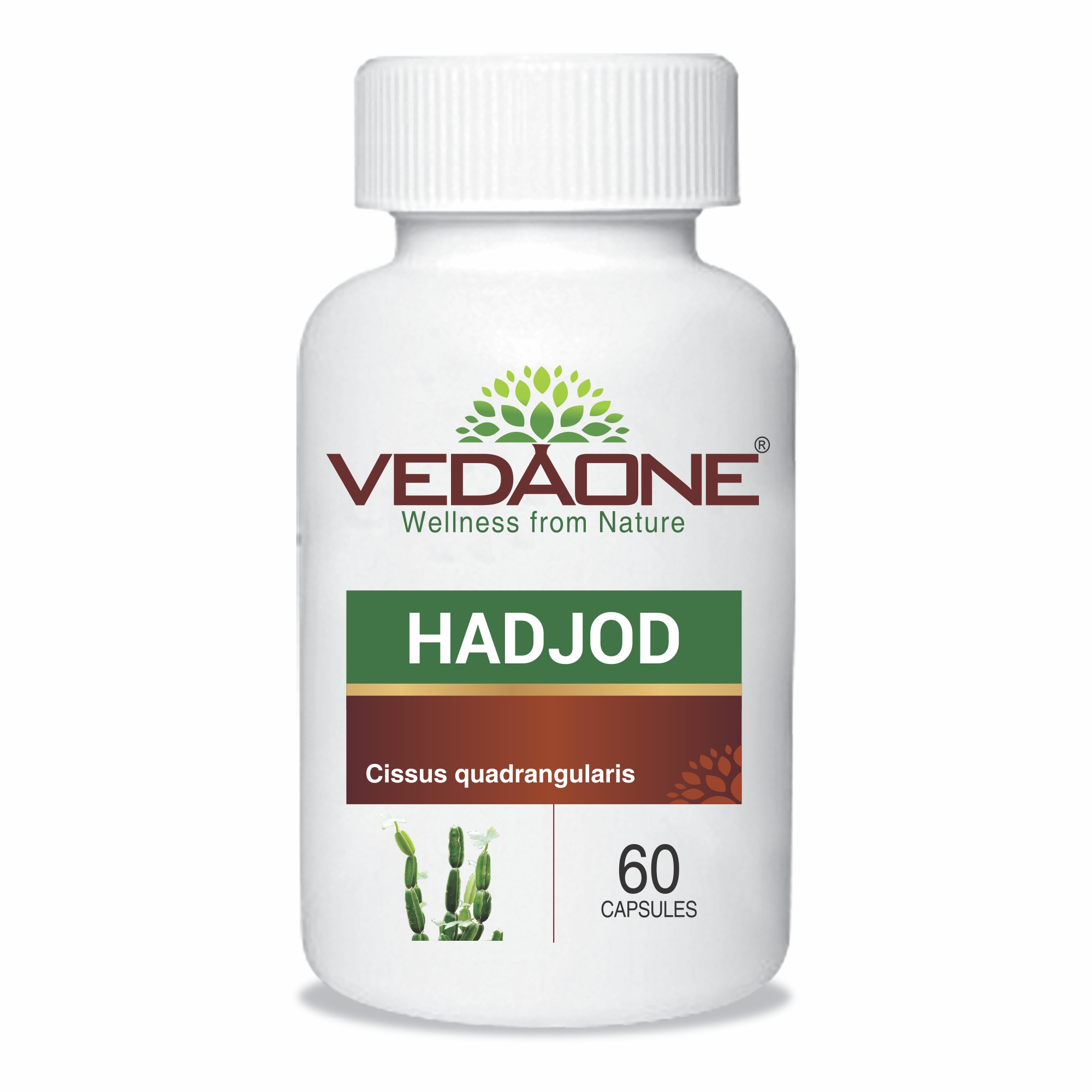 Vedaone Hadjod Joint Support 450mg – 60 Capsule – Atrey Pharmaceuticals ...